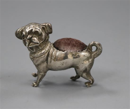 An Edwardian novelty silver pin cushion, modelled as a free standing pug dog, Crisford & Norris, Birmingham, 1906, length 7cm.